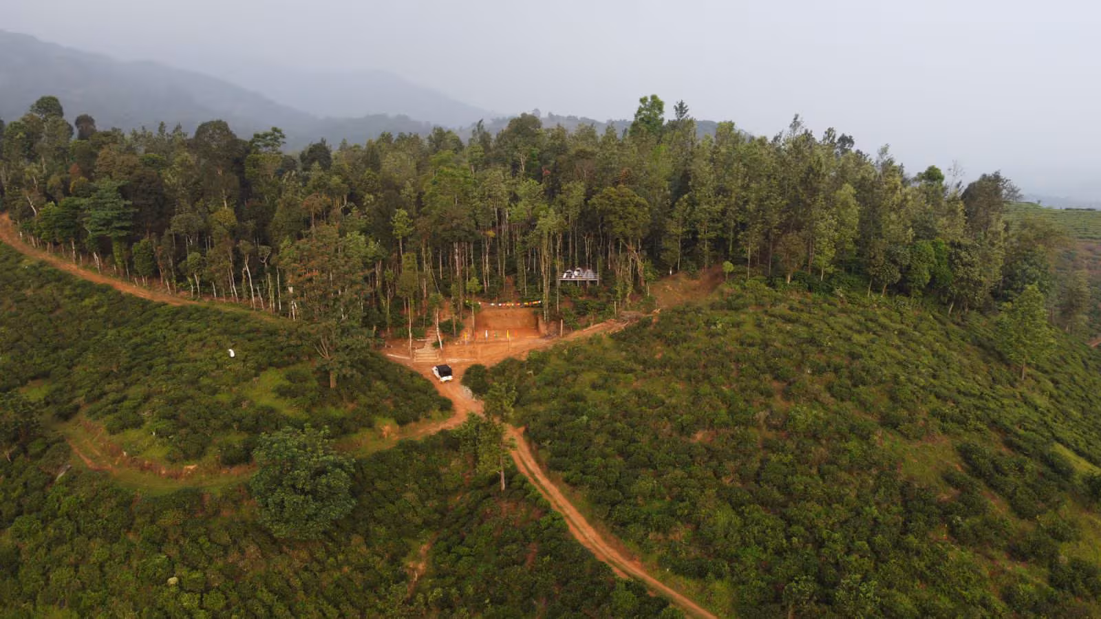 900 Kandi Plantation