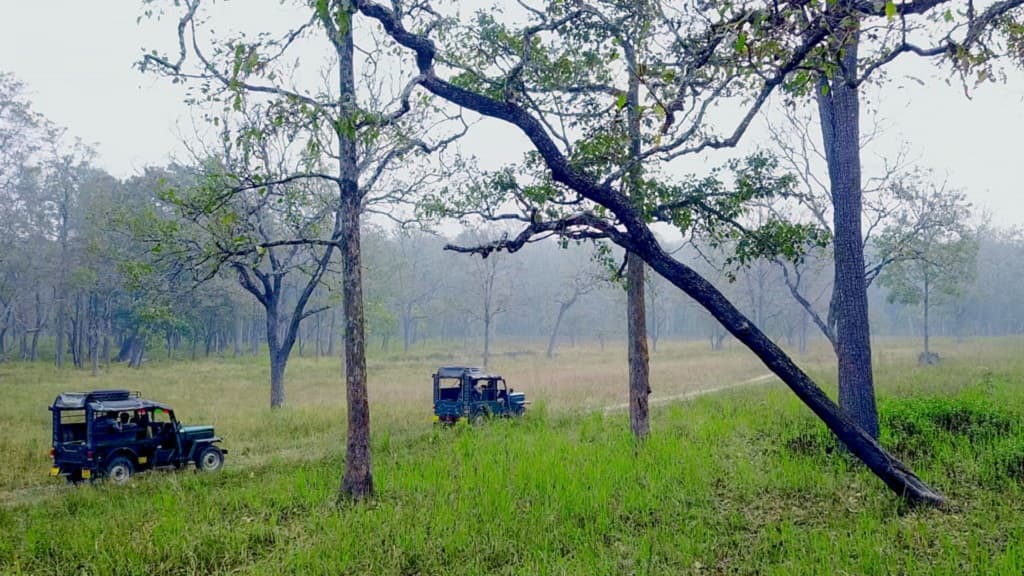 Wildlife Sanctuary